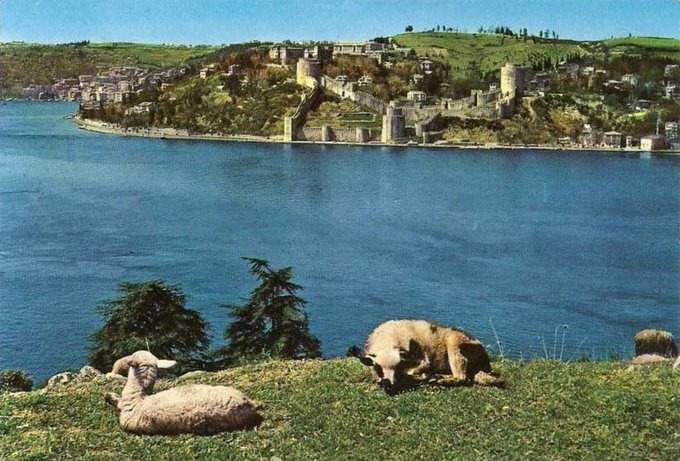 Boğaziçi