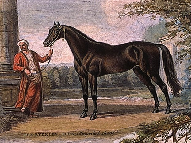 Byerley Turk