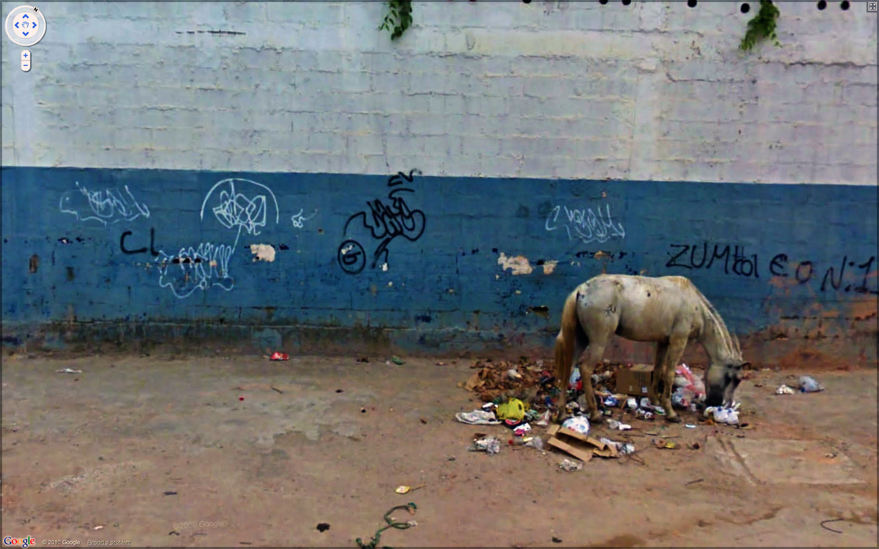 Jon Rafman, The Nine Eyes of Google Street View projesinden
